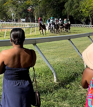Horse racing in Barbados